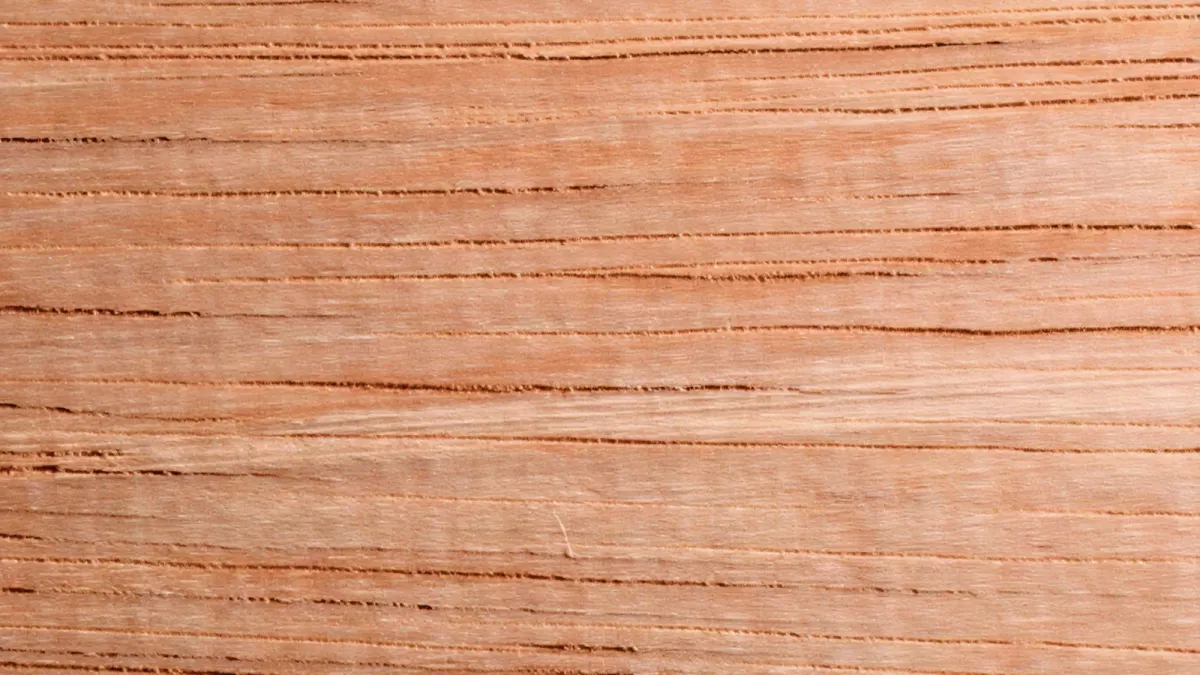 Kayu Durian: Karakter dan Potensinya