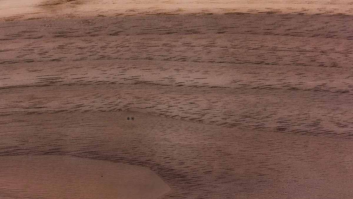 Kayu Black Walnut: Elegan dan Bernilai Tinggi