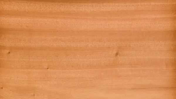 Kayu Mahoni: Karakter dan Kelebihannya