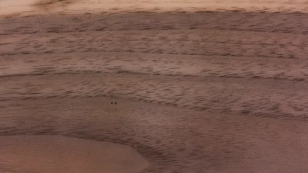 Kayu Black Walnut: Elegan dan Bernilai Tinggi